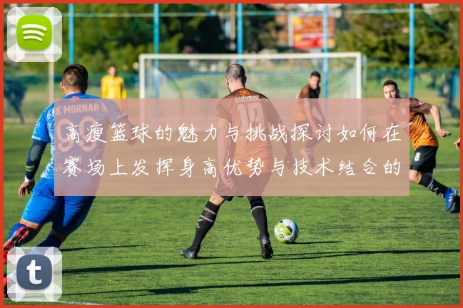 高瘦篮球的魅力与挑战探讨如何在赛场上发挥身高优势与技术结合的完美效果