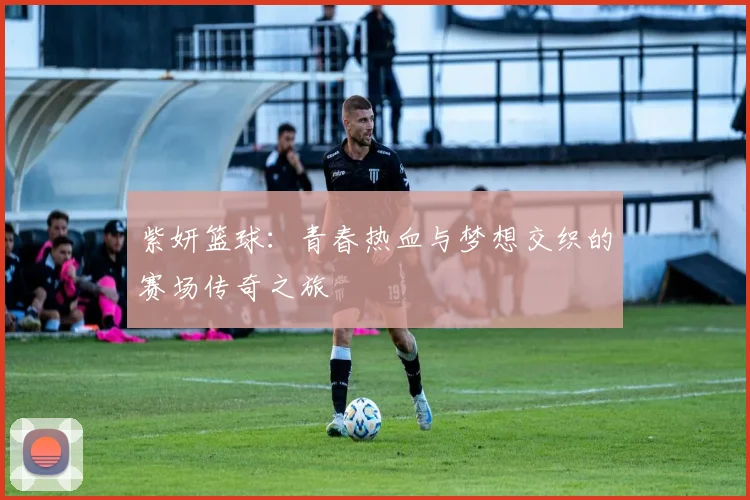 紫妍篮球：青春热血与梦想交织的赛场传奇之旅