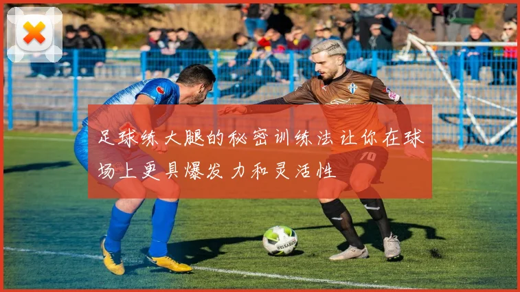 足球练大腿的秘密训练法让你在球场上更具爆发力和灵活性