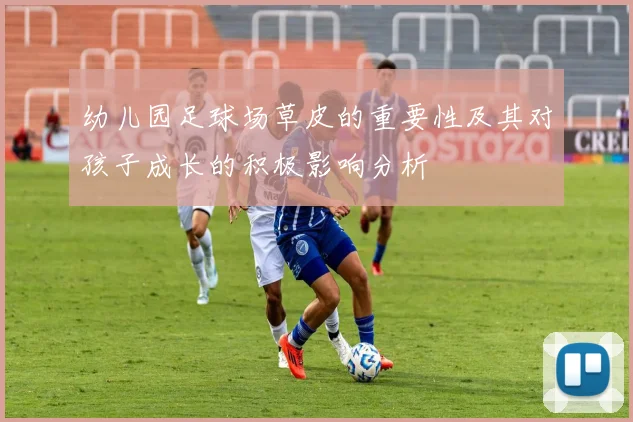 幼儿园足球场草皮的重要性及其对孩子成长的积极影响分析